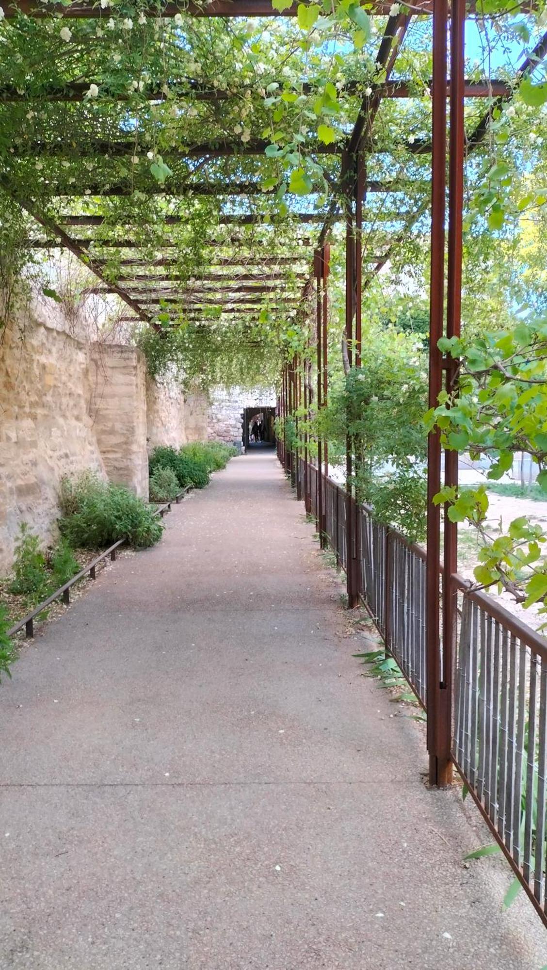 Studio Terrasse, Intra-Muros, Climatise Avec Wifi Aviñón Exterior foto